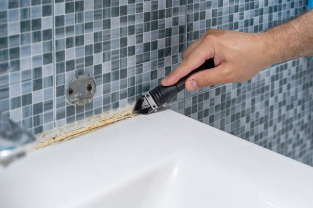 Best Toxic Mold Removal  in Tuscola, IL