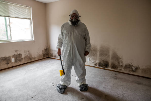Best Professional Mold Removal  in Tuscola, IL